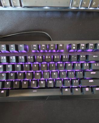 Tastiera Razer Blackwidow V3 Tenkeyless