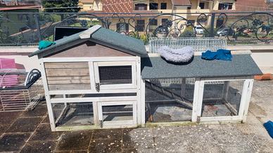 Conigliera L "il verde mondo"