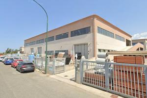 Capannone - Campiglia Marittima