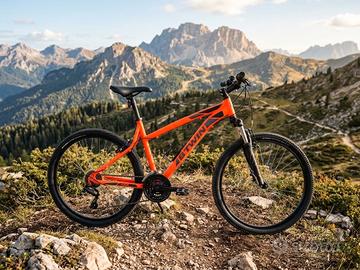 Mountain bike