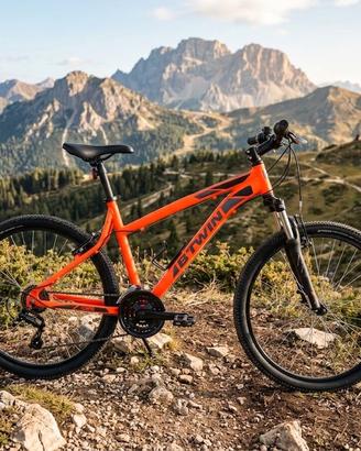 Mountain bike