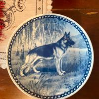 Piatto collezione Lekven Pastore Tedesco
