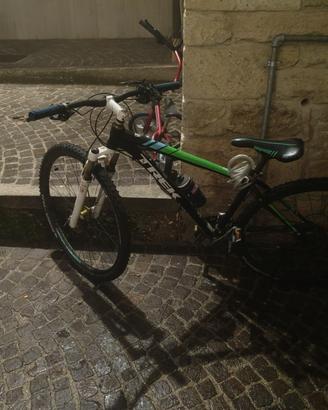 bicicletta aportiva