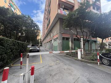 BOX A GENOVA