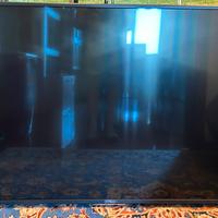 Pezzi Ricambio Sony Bravia