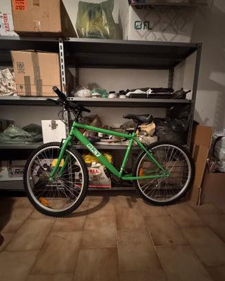 Mtb ragazzo