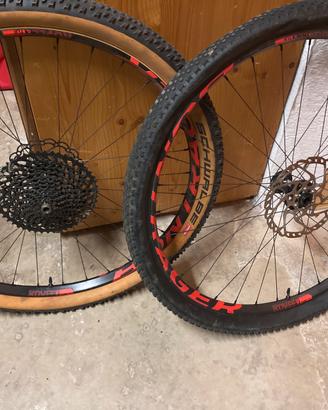 Ruote MTB