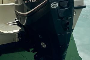 Motore fuoribordo evinrude 130 etec