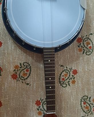 Banjo EKO 8 corde