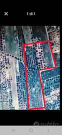Terreno agricolo di 3 ettari