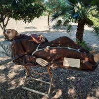 Sant'Antonio di Padova