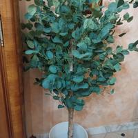 piante artificiali