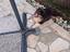 Immagine 5