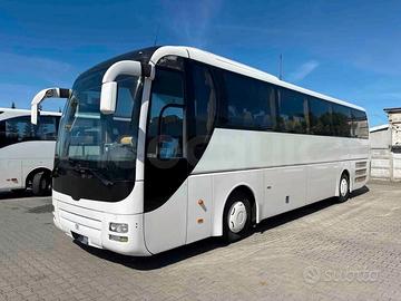 Man Lion's Coach