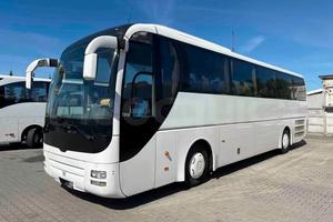 Man Lion's Coach