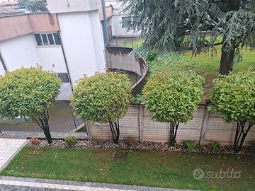 Giardiniere Monza e Brianza