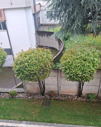 Giardiniere Monza e Brianza