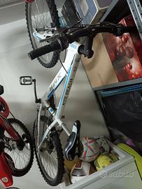 2 bici