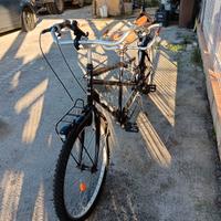 Bici Tandem risciò con cambio shimano 6 velocità 