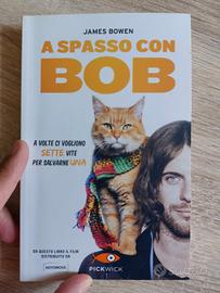 A spasso con Bob 