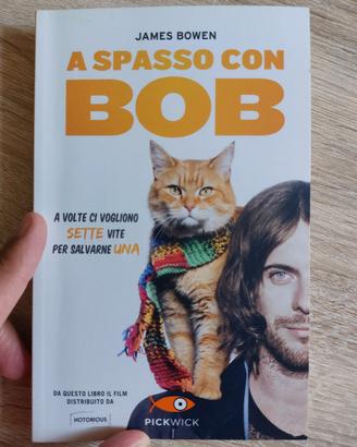 A spasso con Bob 