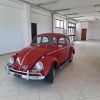 Volkswagen maggiolino