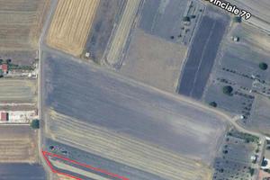 Terreno Via Cassano SP79