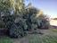 Immagine 29