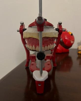 Articolatore