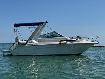 Sea Ray 250 Da (1989)