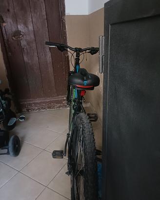 Mountain Bike HOGAN 29" – Upgrade Movimento centra