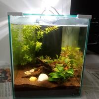 Acquario l. 40 Aquatlantis  (inclusi accessori)