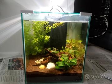 Acquario l. 40 Aquatlantis  (inclusi accessori)