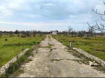 Terreno rustico Gagliano del Capo