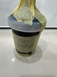 Colore pittura nera helene Lamborghini