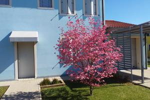 Casa a pochi km da Este