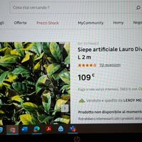 SIEPE ARTIFICIALE LAURO Divy 3D