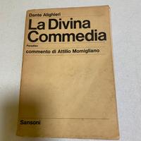 La divina commedia- Paradiso -momigliano