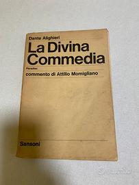 La divina commedia- Paradiso -momigliano