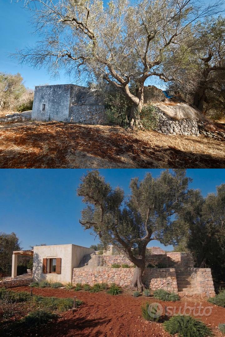 Tenuta con Trulli e lamia, 3 lotti indipendenti - Vista 5