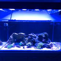 acquario marino completo 400 litri