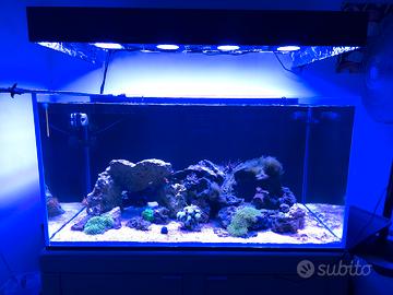 acquario marino completo 400 litri
