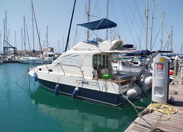 SEA WORLD 31 FLY come nuova