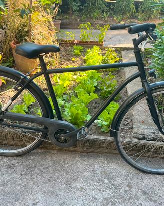Bicicletta da città citybike uomo