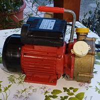 Elettropompa per travasare  vino