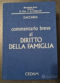 commentario Diritto della Famiglia