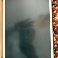 Apple ipad