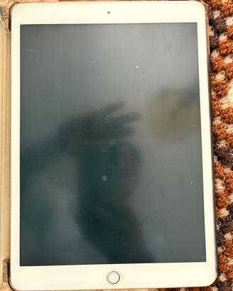 Apple ipad