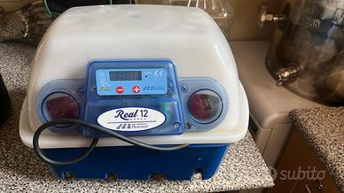 🐥Incubatrice automatica con girauova Borotto