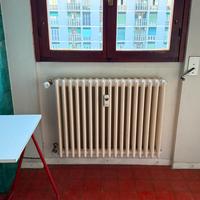 6 termosifoni in ghisa